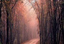 开云官方app入口-绿茵铁闸！莱切门神一夫当关不败金身铸就城南荣光