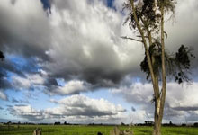 开云体育app-极限保级之争：大连一方迎战长春亚泰，积分关键之战