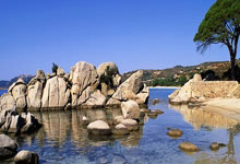 开云官方app入口-绿茵铁闸！莱切门神一夫当关不败金身铸就城南荣光