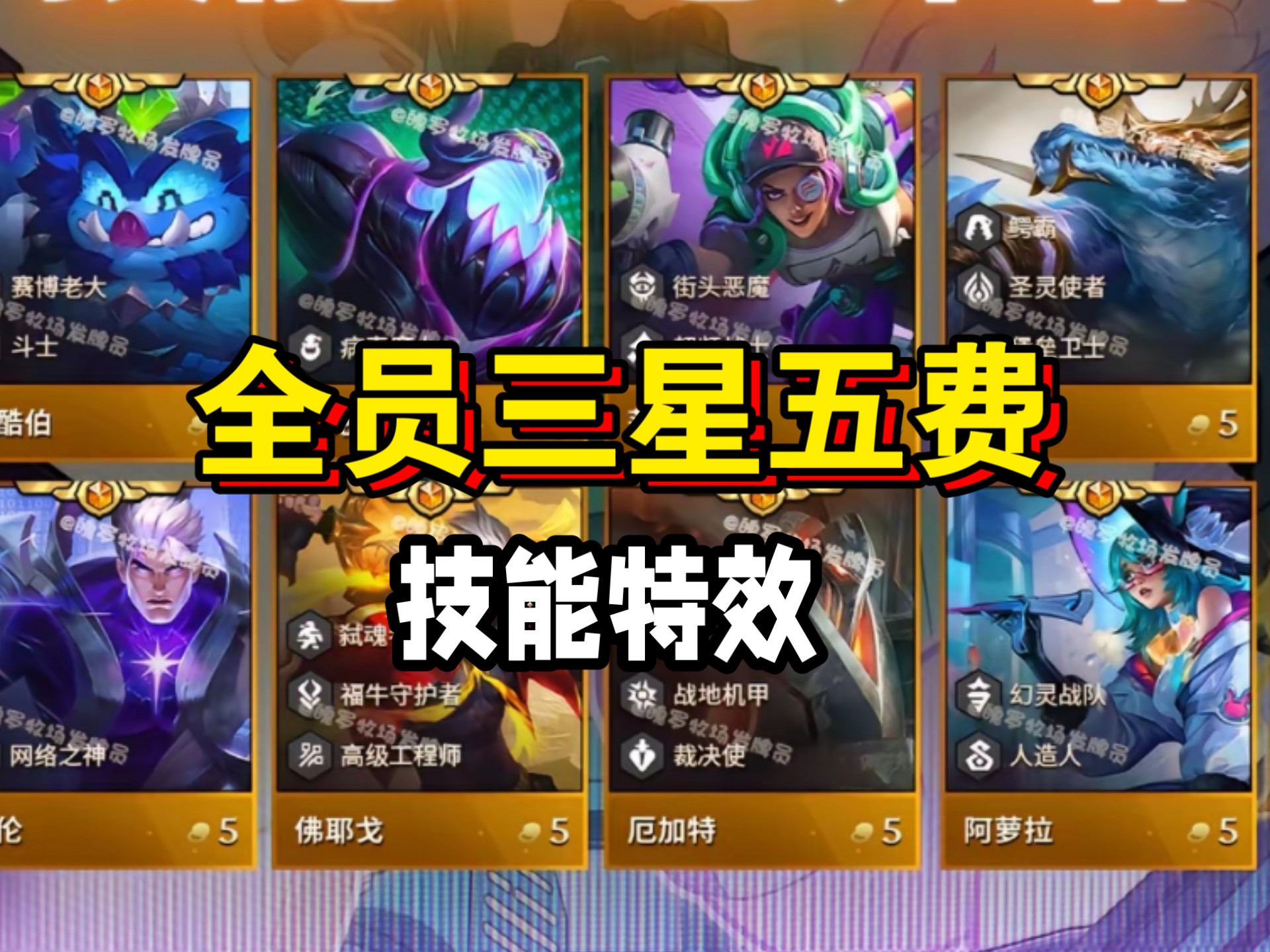 关于众星云集：这个项目有哪些顶尖选手？的信息