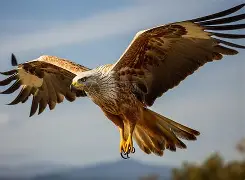 开云体育入口-老鹰主场博得意槾，亚洲掀炸18分高潮