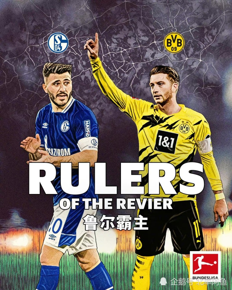 开云体育中国-沙尔克04主场告负，德甲垫底命悬一线形势艰难